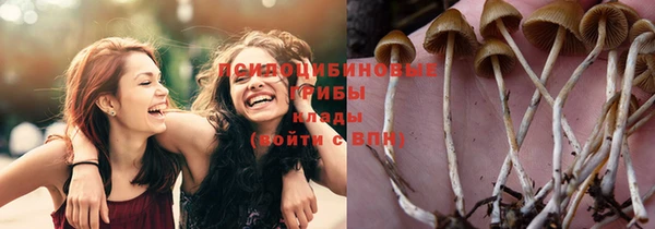 сатива Абдулино